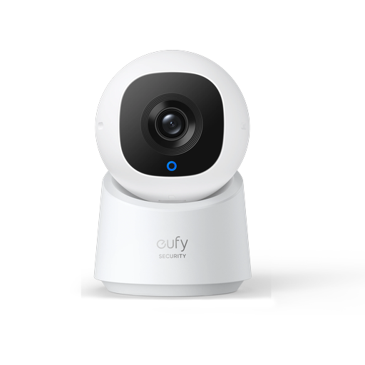 Indoor Cam C220 T8419N
